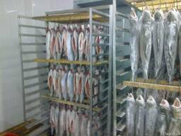 Виды и способы заморозки, морепродуктов и рыбы.