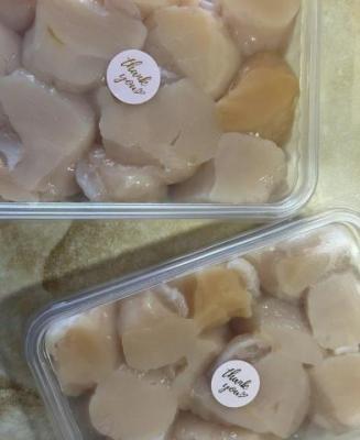 Парной приморский гребешок